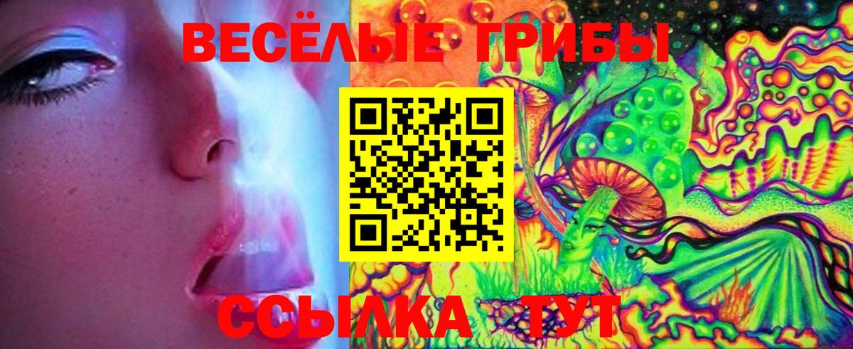 Малгобек  Псилоцибиновые грибы мицелий  Галлюциногенные грибы Psilocybe  Вход с VPN 